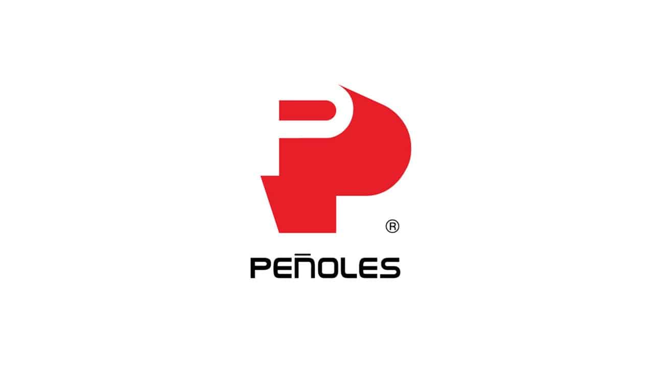Logo de Peñoles - Cliente principal